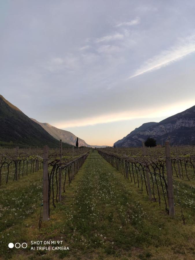Agriturismo Revena Brentino Belluno Ngoại thất bức ảnh