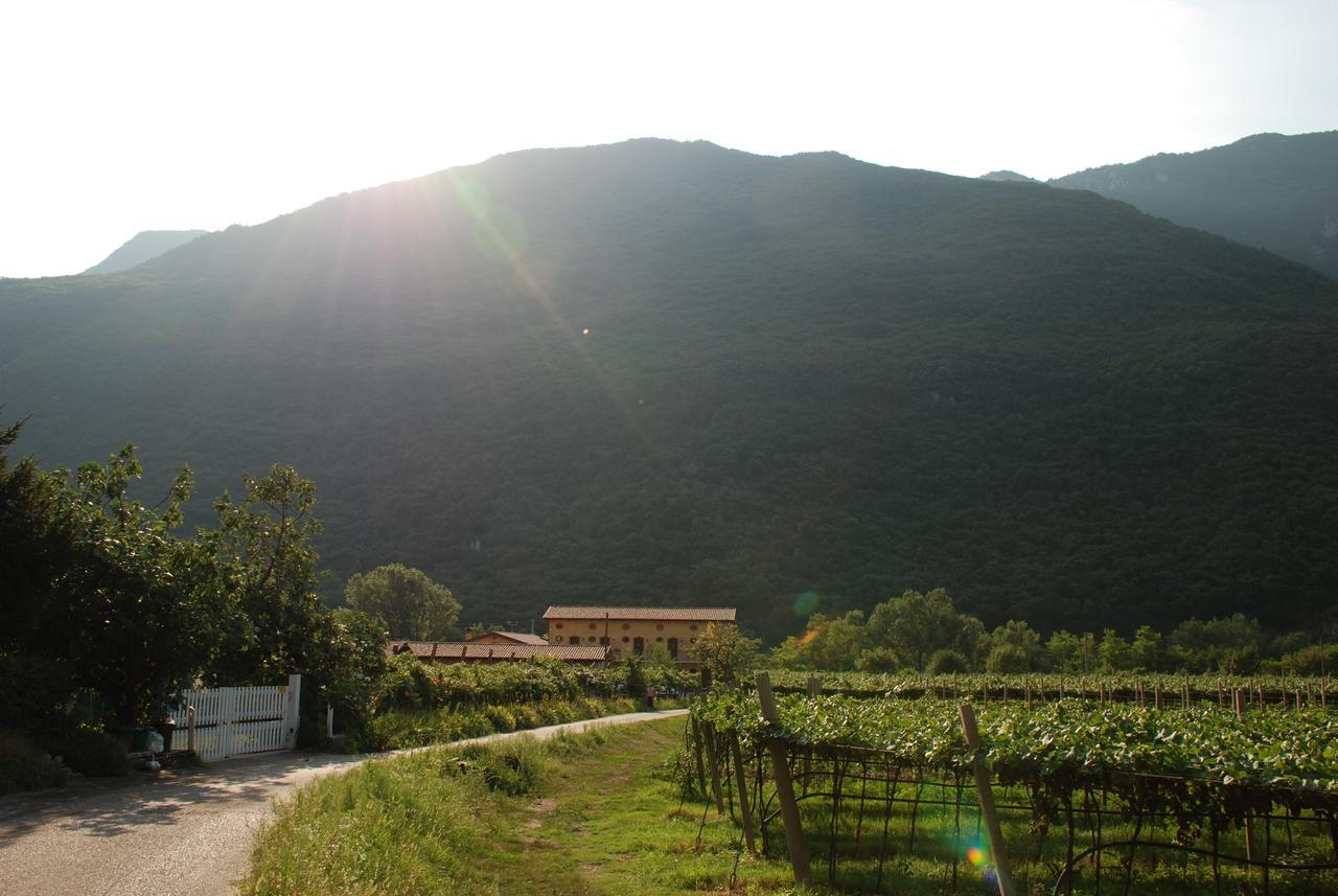 Agriturismo Revena Brentino Belluno Ngoại thất bức ảnh